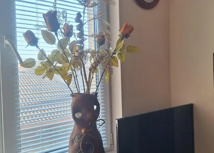 公寓 Lily Aparts *